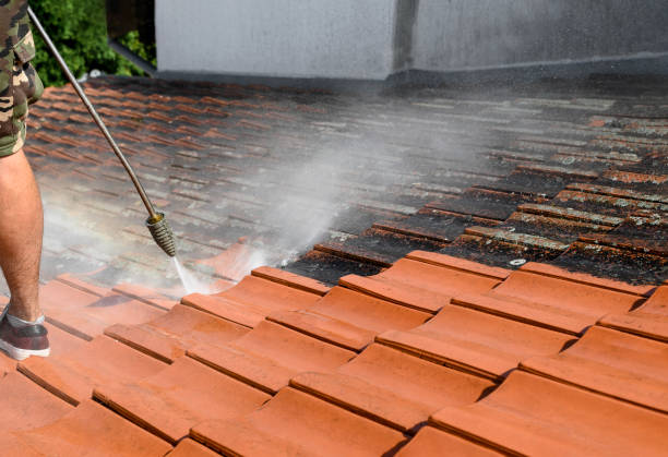 Best Concrete Pressure Washing  in Packanack Lake, NJ